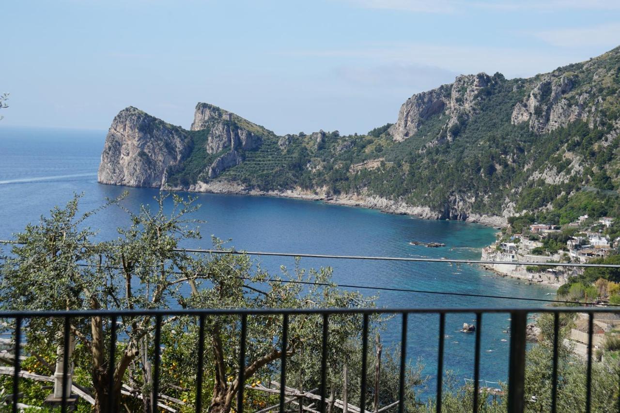 Villaggio Syrenuse Residence Massa Lubrense Kültér fotó